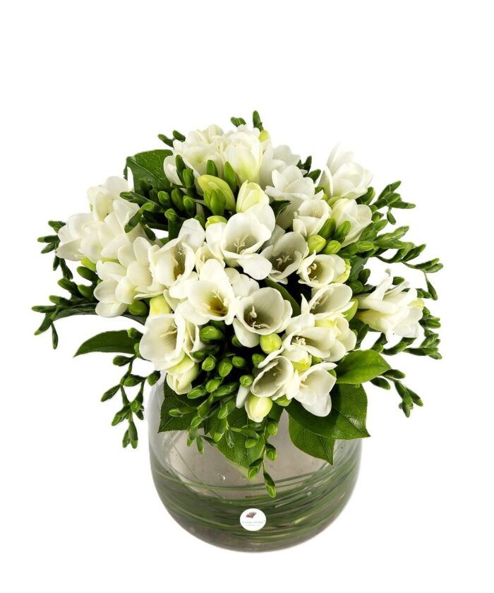 Buchet frezii albe 2