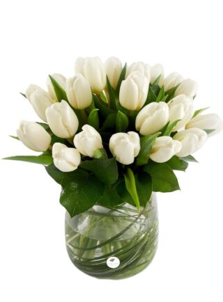 Buchet lalele albe 1