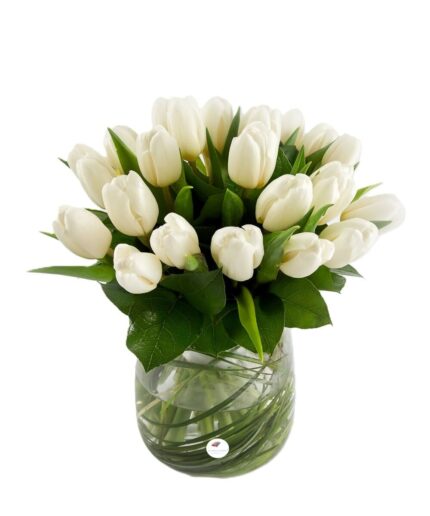 Buchet lalele albe 1
