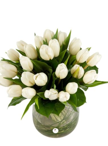Buchet lalele albe 2