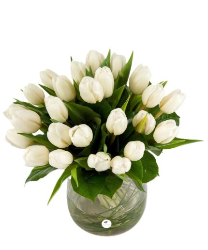 Buchet lalele albe 2