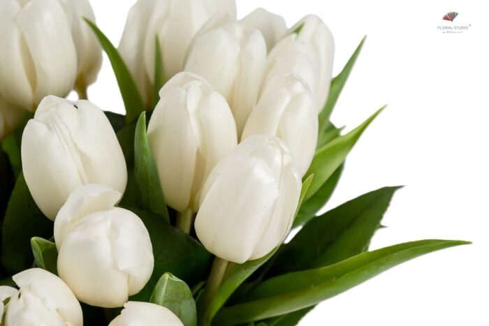Buchet lalele albe 3