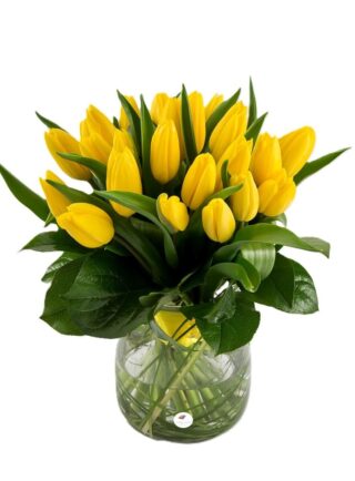 Buchet lalele galbene 1