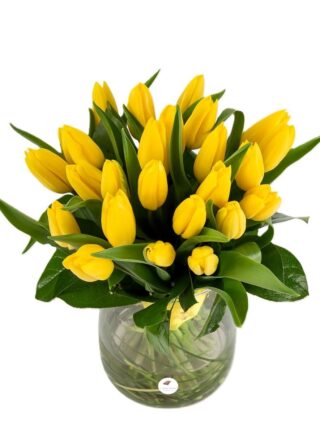 Buchet lalele galbene 2