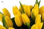 Buchet lalele galbene 3