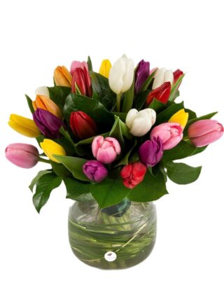 Buchet lalele mixte 1