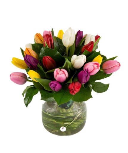 Buchet lalele mixte 1
