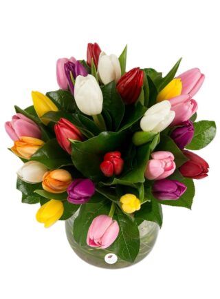 Buchet lalele mixte 2