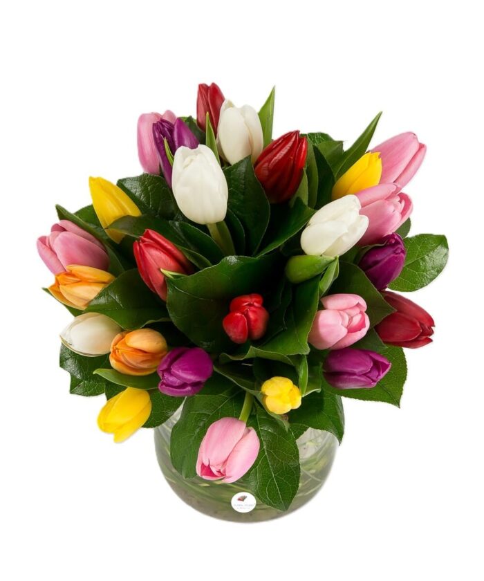 Buchet lalele mixte 2