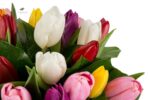 Buchet lalele mixte 3