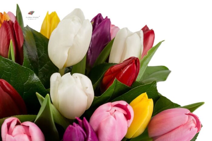 Buchet lalele mixte 3