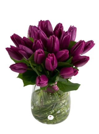 Buchet lalele mov 1