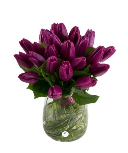 Buchet lalele mov 1