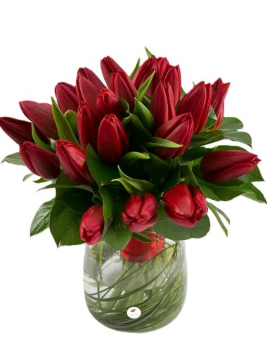Buchet lalele rosii 1