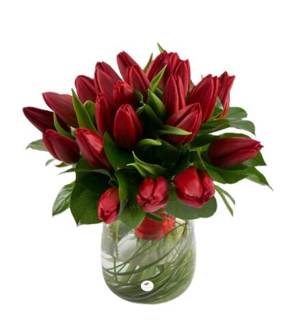 Buchet lalele rosii 1