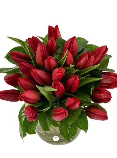 Buchet lalele rosii 2