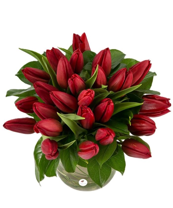 Buchet lalele rosii 2