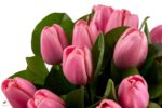 Buchet lalele roz 3
