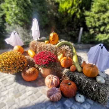 decoratiuni-de-halloween-gradina-floral-studio-iasi