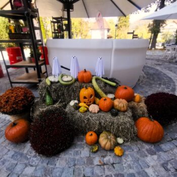 decoratiuni-halloween-gradina-floral-studio-iasi