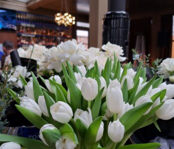 lalele-albe-eveniment-corporate-floral-studio-iasi