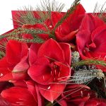 Buchet Amaryllis roșu - imagine 3